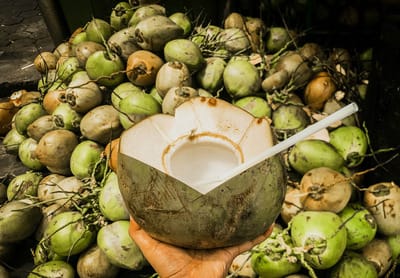 Tradisi Sehat Favorit: Puasa Lancar Sejak Hari Pertama dengan Manfaat Air Kelapa