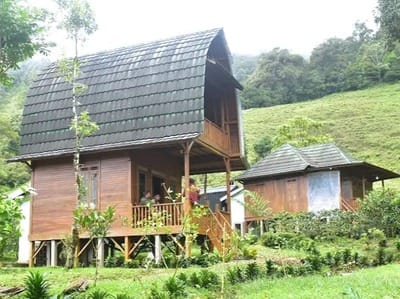 Pogayo Camp Liburan Sejuk Nan Asri di Area Puncak Bogor