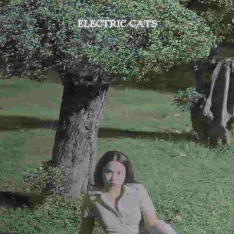 Electric Cats Merilis Nyanyian Rindu untuk Sahabat Tercinta, Bertajuk “Kemilau Rembulan”