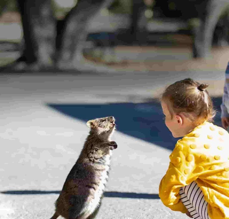 Menjelajahi Fauna Australia Barat yang Kaya, Membuka Potensi Pariwisata Bernilai Tinggi