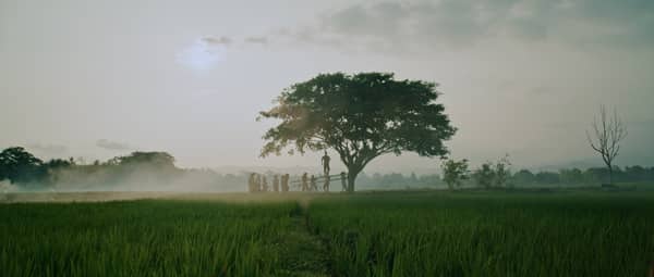 “Bolong: 309 Hari Sebelum Tragedi Berdarah”, Film Terbaru dari Hanung Bramantyo World Premiere di International Film Festival Rotterdam 2026