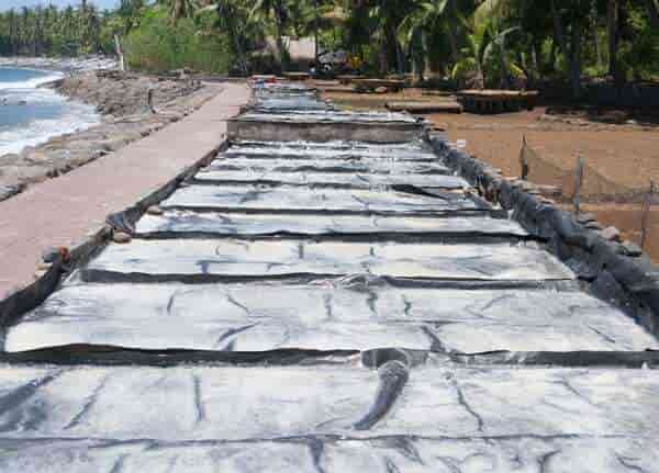 Djony Bunarto Tjondro: Kolaborasi Astra dan Masyarakat Kampung Berseri Astra Les Jadi Model Harmoni Alam dan Tradisi