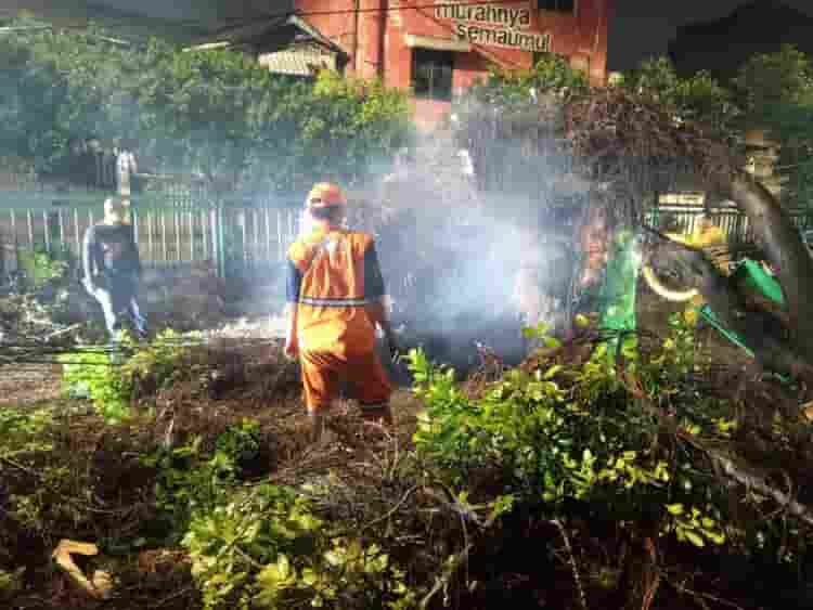 Respon Cepat Aduan Warga Melalui 110, Polsek Palmerah Tangani Pohon Tumbang di KS Tubun