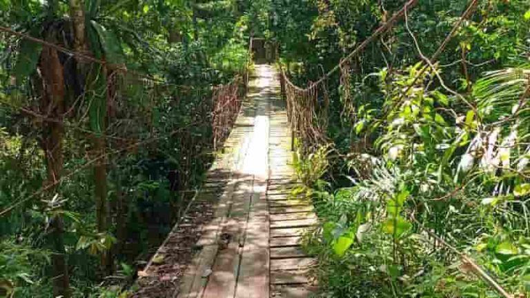 Rehab Jembatan Gantung Desa Halimbe Rampung, Mobilitas Warga Kembali Normal
