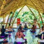 Sambut World Healing Day 2026, Glico WINGS Ajak Gen Z Temukan Momen Zen Bersama Es Krim Jepang HAKU Almond Classic Deluxe