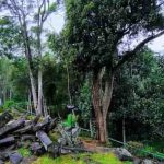Gunung Padang Di Cianjur, Jejak Peradaban Kuno Yang Masih Menyimpan Teka-Teki