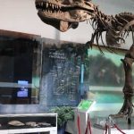 Museum Geologi, Wisata Edukasi Penuh Warisan Ilmu Bumi