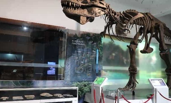 Museum Geologi, Wisata Edukasi Penuh Warisan Ilmu Bumi