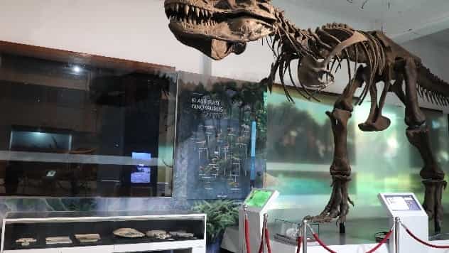 Museum Geologi, Wisata Edukasi Penuh Warisan Ilmu Bumi