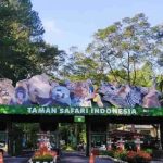 Taman Safari Indonesia, Gerbang Konservasi dan Edukasi di Puncak