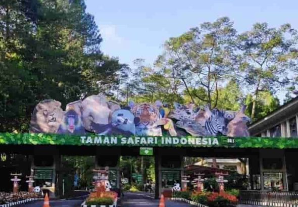 Taman Safari Indonesia, Gerbang Konservasi dan Edukasi di Puncak