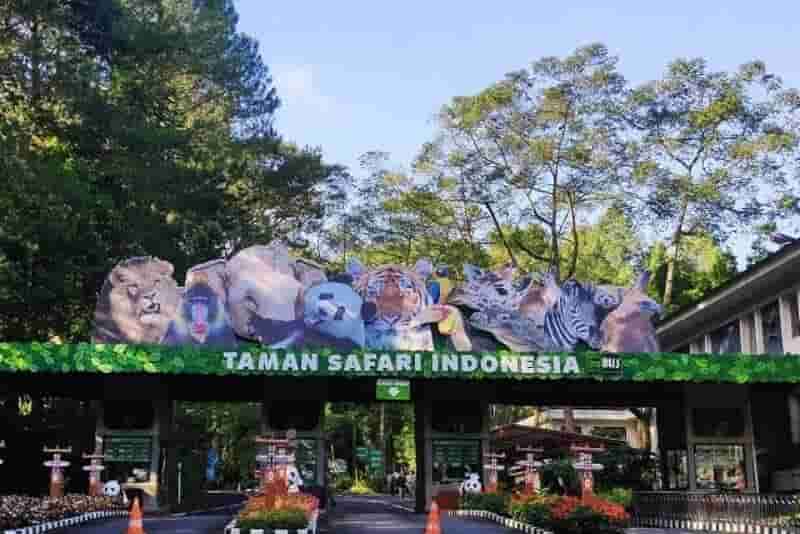 Taman Safari Indonesia, Gerbang Konservasi dan Edukasi di Puncak
