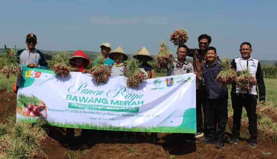 United Tractors Semen Gresik Dukung Kemandirian Ekonomi Desa melalui Panen 4 Ton Bawang Merah