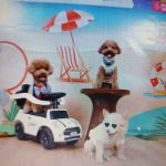 Dog Community Gathering Satukan Komunitas Pecinta Anjing Jelang Jakarta International Pet Show (JIPS) 2026