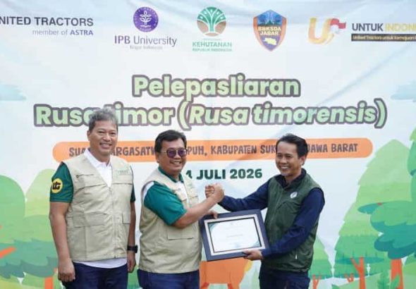 Sukses Konservasi Keanekaragaman Hayati, United Tractors Lepasliarkan 10 Rusa Timor di Kawasan Margasatwa Cikepuh