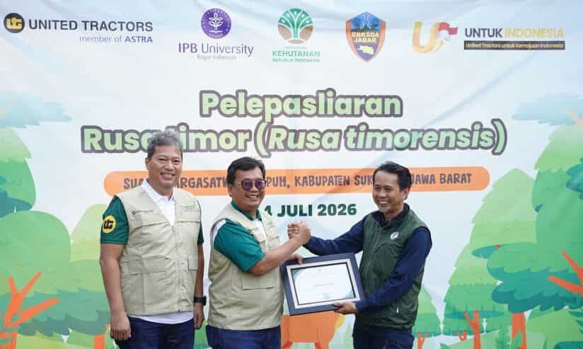 Sukses Konservasi Keanekaragaman Hayati, United Tractors Lepasliarkan 10 Rusa Timor di Kawasan Margasatwa Cikepuh
