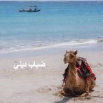 Clever Moose Merilis Single Bernuansa Arabian Groove Disco Bertajuk "Dhabab Dhini"