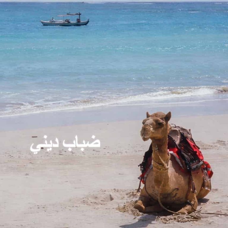 Clever Moose Merilis Single Bernuansa Arabian Groove Disco Bertajuk "Dhabab Dhini"