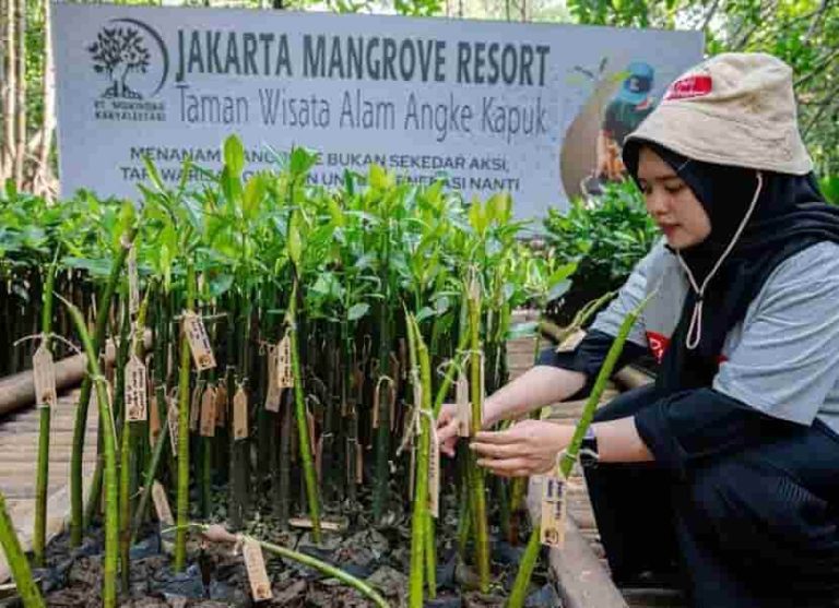 Hadapi Ancaman Abrasi & Perubahan Iklim, Prudential Indonesia Tambah 5.500 Mangrove untuk Pesisir Jakarta
