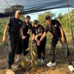 Dukung Gerakan Penghijauan IKN, Four Points by Sheraton in Balikpapan Tanam Lebih dari 2.000 Bibit