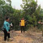 Demplot Satgas Karhutla TNI, Uji Alternatif Pupuk Organik Ladang di Kayan Hilir