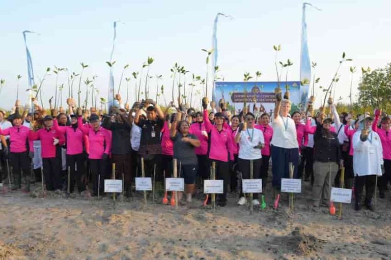 Menanam 1.000 Bibit Mangrove di Arboretum Mangrove Park, Pedungan, Denpasar, Bali, Wujud Kepedulian Polri terhadap Bali