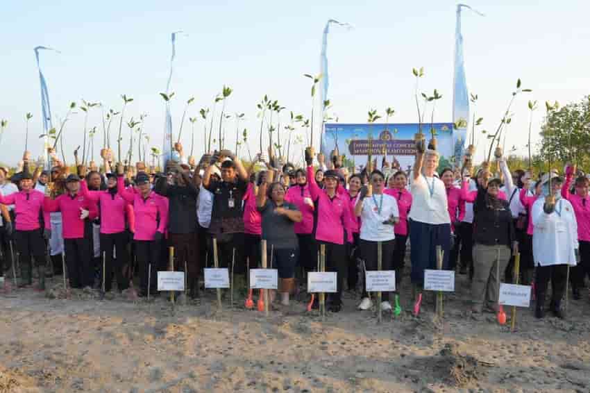 Menanam 1.000 Bibit Mangrove di Arboretum Mangrove Park, Pedungan, Denpasar, Bali, Wujud Kepedulian Polri terhadap Bali