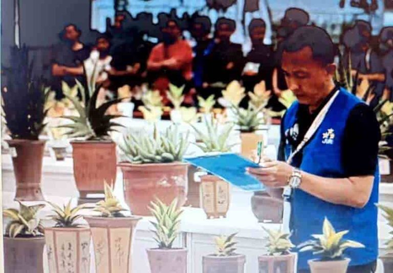 Jelang Pembukaan, FLOII Kembali Ajak Publik Nikmati Rangkaian Pameran dan Aktivitas Tanaman Selama Empat Hari